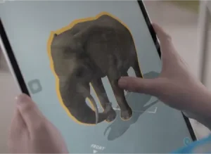 A child interacting with a diagram of an elephant on a tablet.